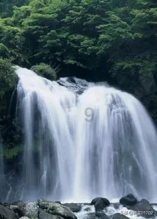 人类历史上有没有点错科技树的情况
